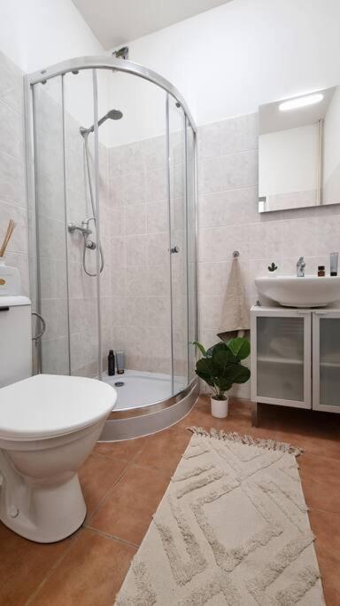 Apartmán Finnem Sokolovska *